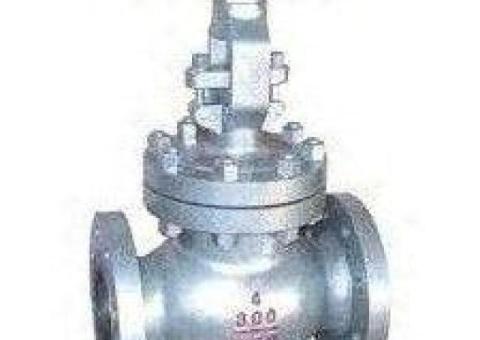 GLOBE VALVES SUPPLIERS IN KOLKATA