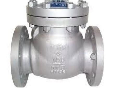 CHECK VALVES IN KOLKATA