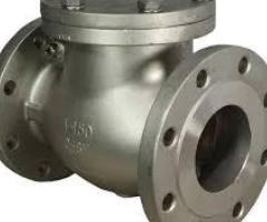 CHECK VALVES DEALERS IN KOLKATA - 1/1