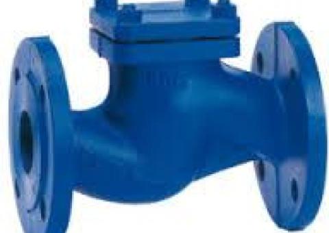 CHECK VALVES SUPPLIERS IN KOLKATA