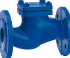 NON RETURN ( NRV ) VALVES SUPPLIERS IN KOLKATA - 1/1