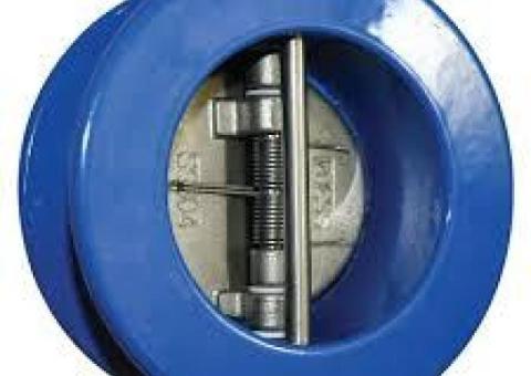 DUAL PLATE CHECK VALVES IN KOLKATA